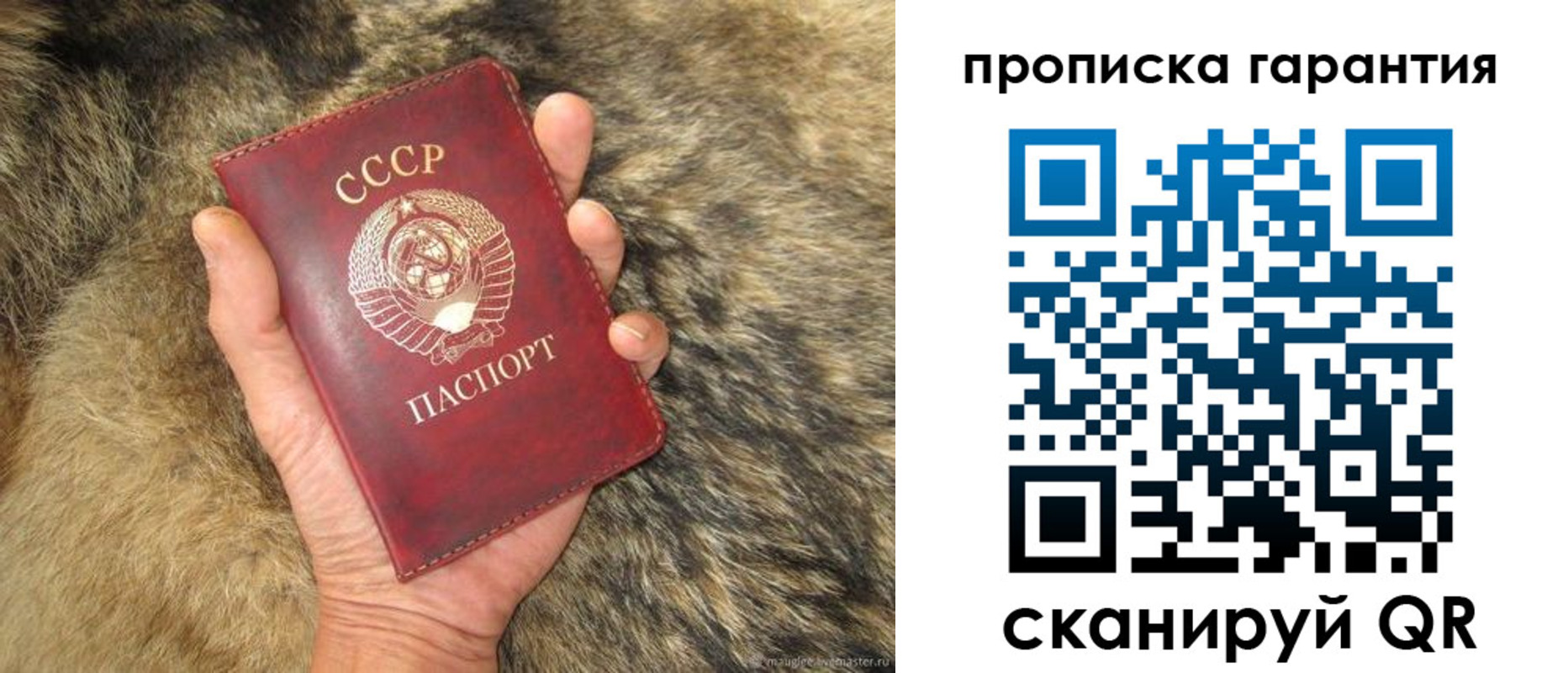 прописка паспорт в Димитровграде